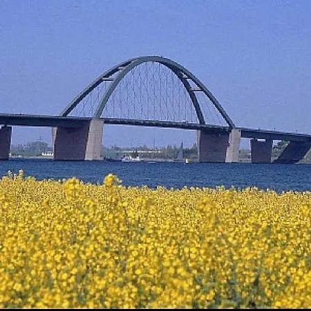 Sonnenschein 25 *